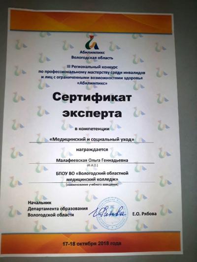 Сертификат эксперта регионального конкурса «Абилимпикс»-2018