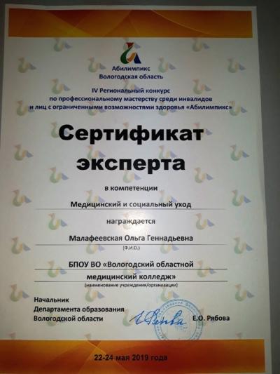 Сертификат эксперта регионального конкурса «Абилимпикс»-2019